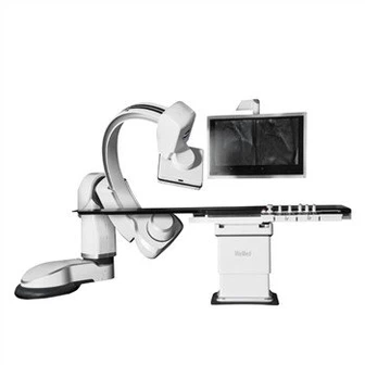 Βηματίζοντας τα όπλα Dsa